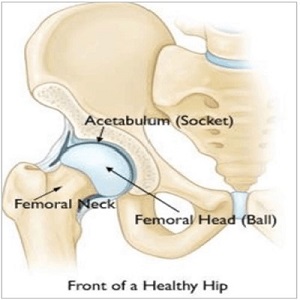 front of heathy hip